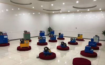 중국 Shanghai Fanying Machinery Technology Co., Ltd. 회사 프로파일